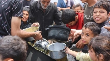 نیو ملوێن فەلەستینی لە ژێر سێبەری ڕەشی قات و قڕیدا