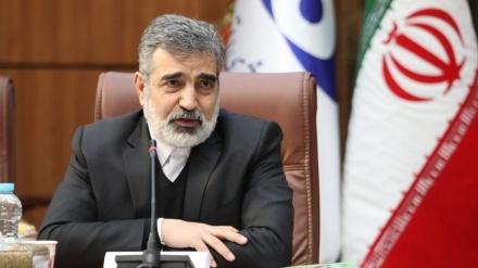 İran uranı zənginləşdirən və nüvə silahı olmayan yeganə ölkə deyil