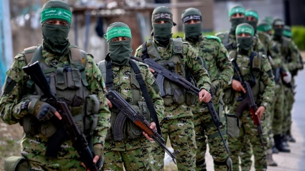 فلسطین میں مزاحمتی قوتوں کی مقبولیت میں اضافہ