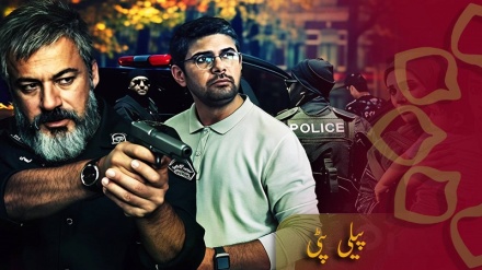 پیلی پٹی -قسط نمبر 03