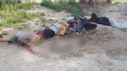 Dewama cinayeta komên çekdar li Sûriyê