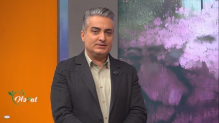 Gözəl Şirazı heç tanıyırsız?