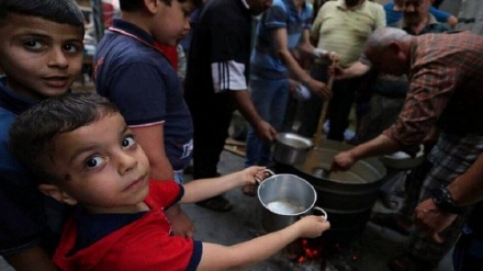 غزہ کے باشندوں کو شدید غذائی قلت کا سامنا