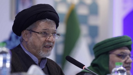 اقوام متحدہ کا انسانی حقوق کا منشور نسل کشی کو روکنے سے قاصر ہے: سعید رضا عاملی