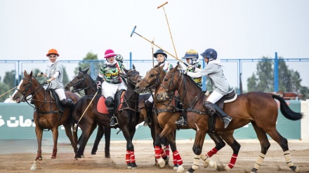 Čogan – nacionalni sport Iranaca; prizori iz ženske i muške lige