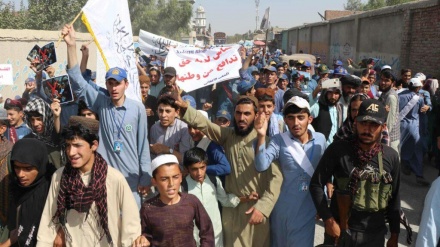 د غزې ملاتړ لپاره د سرپرست حکومت بلنه 