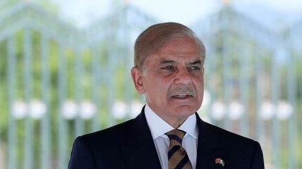 غزہ پر قبضے کے فیصلے کی مذمت؛ شہباز شریف