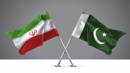 ایران اور پاکستان خطے میں قیام امن کے خواہاں؛ ایران پاک پارلیمانی فرینڈشپ گروپ کے سربراہ