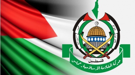 اسرائیل کی فضائی ناکہ بندی یمن کی مسلح افواج کا ایک جرات مندانہ اقدام ہے: حماس