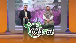 HƏYAT