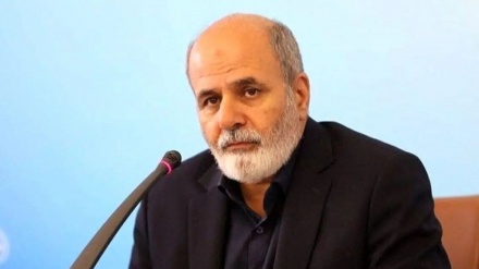 ئەحمەدیان: ئێران پێداگرە لە سەر پاراستنی پرۆسه ی سووتەمەنی و پیتاندن