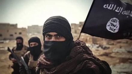کوچ داعش از افغانستان به آفریقا