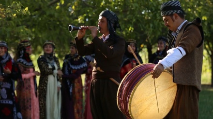 بەڵگه فیلمی