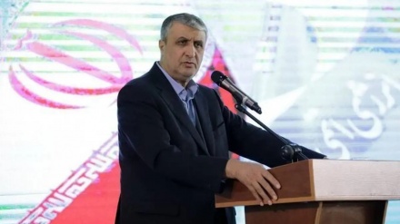Serokê Rêxistina Enerjiya Atomê ya Îranê: Kes nikare ji me re bibêje ku em divê kîjan rêyê herin
