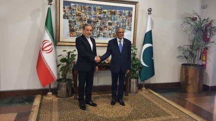 ایران اور پاکستان کے وزرائے خارجہ کی ملاقات + ویڈیو 