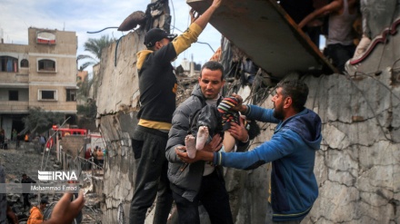 تیرو ۲۴ ساعتونو کې د ۱۵۱ فلسطینیانو شهادت