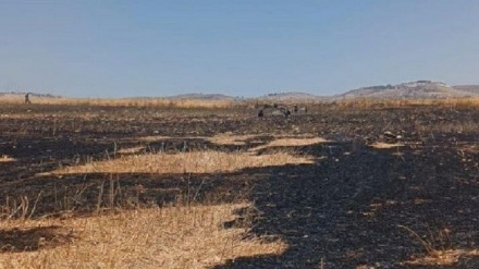 IZRAELSKI DOSELJENICI ZAPALILI POLJOPRIVREDNO ZEMLJIŠTE PALESTINACA