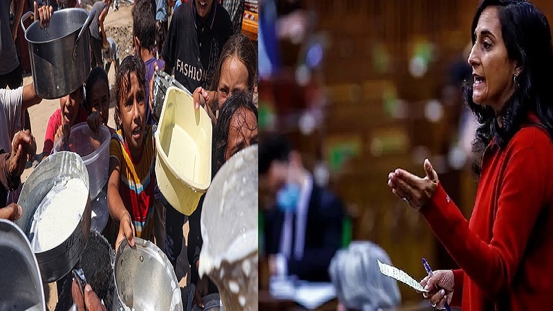 اسرائیل غزہ میں خوراک کی کمی کو سیاسی ہتھیار کے طور پر استعمال کر رہا ہے: کینیڈا