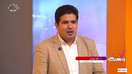 وێستگەی چوارشەممە لەگەڵ د. 
