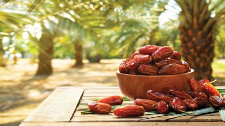 زاری ڤێنزۆئێلاییەکان بە خورمای ئێرانییەوە شیرین بوو