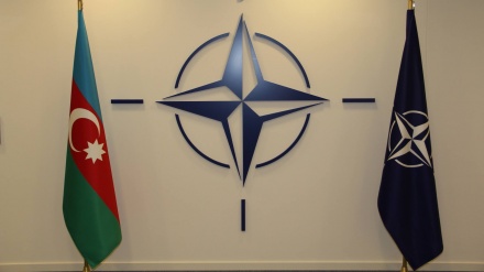 NATO və Azərbaycan arasında hərbi əməkdaşlıq