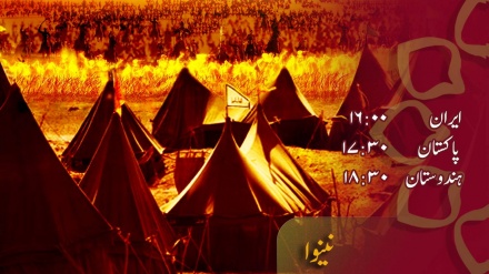 نینوا