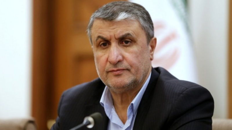 ESLAMI: NEMA ALTERNATIVE ZA OBOJAĆIVANJE