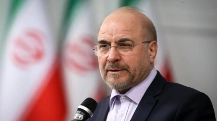 قالیباف: بڕیارنامەی ئەنجومەنی حوکمدەران سەلماندی هاوکاری کردن لەگەڵ ئاژانس ئەنجامی بە پێچەوانەی لێدەکەوێتەوە