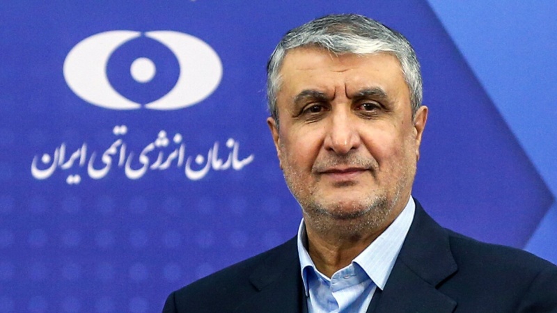 ئیسلامی :دانانی ڕینگ و قاتی دووهەمی ڕێئاکتوری بوشەهر بە پێی پلان بەڕێوەچوو
