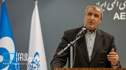 İslami: Zənginləşdirmənin heç bir alternativi yoxdur