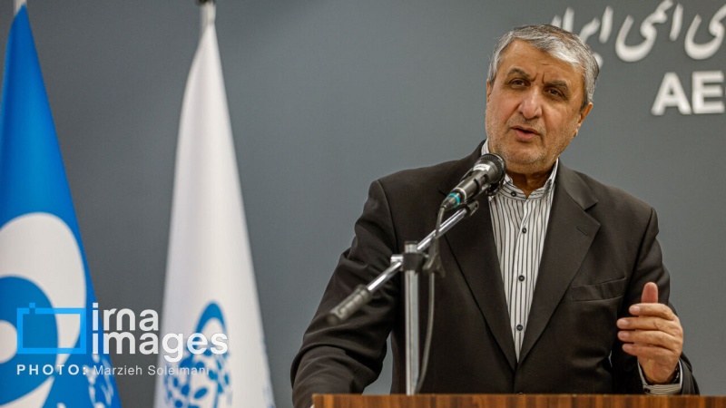 İslami: Zənginləşdirmənin heç bir alternativi yoxdur