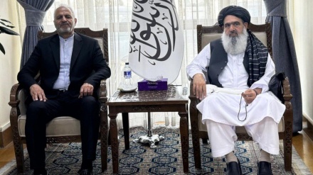 تهران ته د روغتیا سرپرست وزیر سفر 
