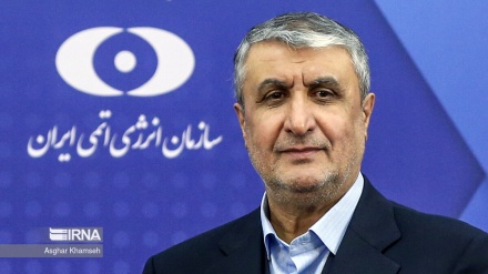 PREDSJEDNIK IRANSKE ORGANIZACIJE ZA ATOMSKU ENERGIJU: NEĆEMO SE POVINOVATI NEOSNOVANIM POLITIČKIM PRITISCIMA