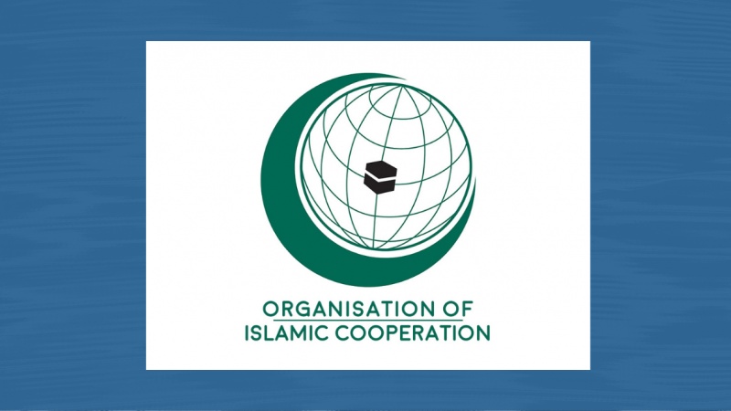 میڈلین جہاز پر حملہ: او آئی سی کی سخت مذمت اور عالمی اقدام پر زور