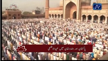 چوتھا بلیٹن، ہفتہ 7 جون 