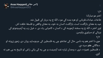 انس حقانی: فلسطین، آزمونی بزرگ برای وجدان جهانی