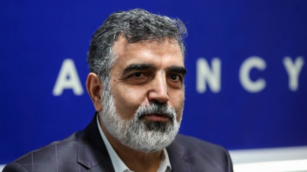 د اټومي انرژۍ نړیوالې ادارې سره پر همکارۍ د ایران ټينګار 