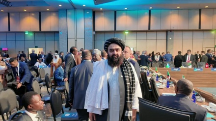 دیدار وزرای داخله پاکستان و حکومت سرپرست در کابل