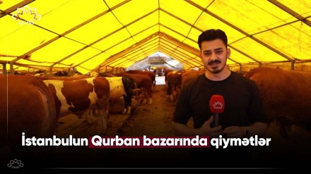 İstanbulun Qurban bazarında qiymətlər