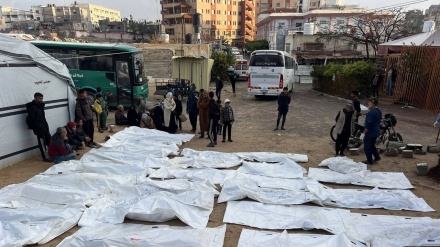 95 şehîd û 304 birîndar di 48 sietên borî de li Xezzeyê