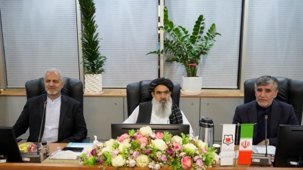 بازدید هیئت وزارت صحت عامه از نمایشگاه طبی ایران هلث