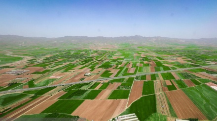 زەوی وەکوو فەرشێکی سەوز