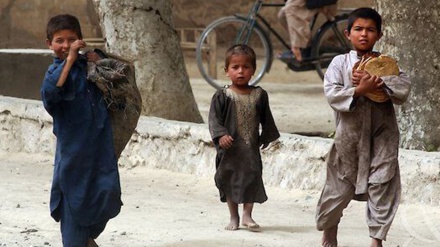  هشدار برنامه جهانی غذا: ۱۰ میلیون افغان در آستانه گرسنگی شدید