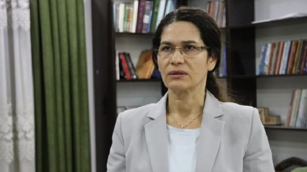 Ilham Ehmed: em bi dû pişikdarîya li Sûrîyê ne û nabe tevlîkirin bi wateya jinavbirin û wêdadayîna me be