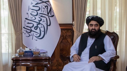 د خوړو نړیوال پروګرام سره د سرپرست حکومت همکارۍ
