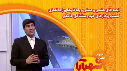 تنوع ایده‌های علمی و عملی؛ راهی نو برای راه‌اندازی کسب‌وکارهای خرد و مشاغل خانگی