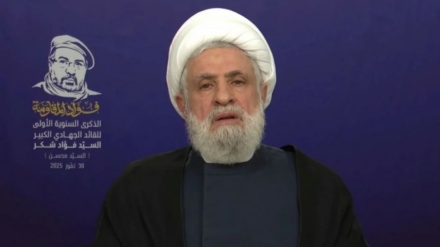 کسی بھی قیمت پر ہتھیار نہیں ڈالیں گے؛ شیخ نعیم قاسم 