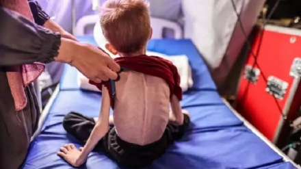 650 hezar zarok li ber xetera ji birsîya mirinê ne