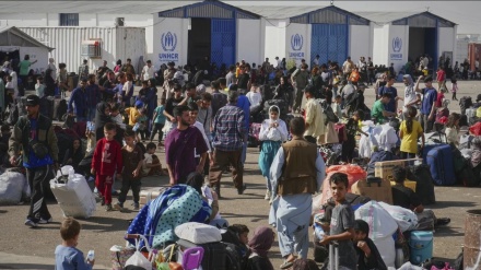 بازگشت بیش از نیم میلیون مهاجر افغان به کشور