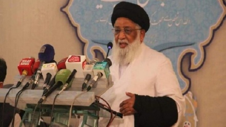 زائرین کی ایران-عراق بائی روڈ آمد پر پابندی ختم کی جائے: آیت اللہ حافظ ریاض حسین نجفی